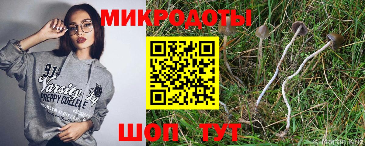 Галлюциногенные грибы MAGIC MUSHROOMS  Вход с VPN  Саранск 